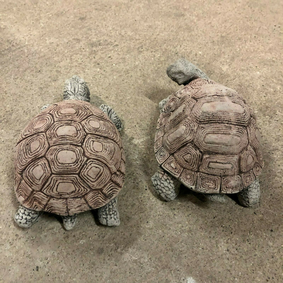 Top view of stone tortoise garden sculptures showcasing unique shell designs, ideal for enhancing outdoor spaces with rustic animal-themed decor.