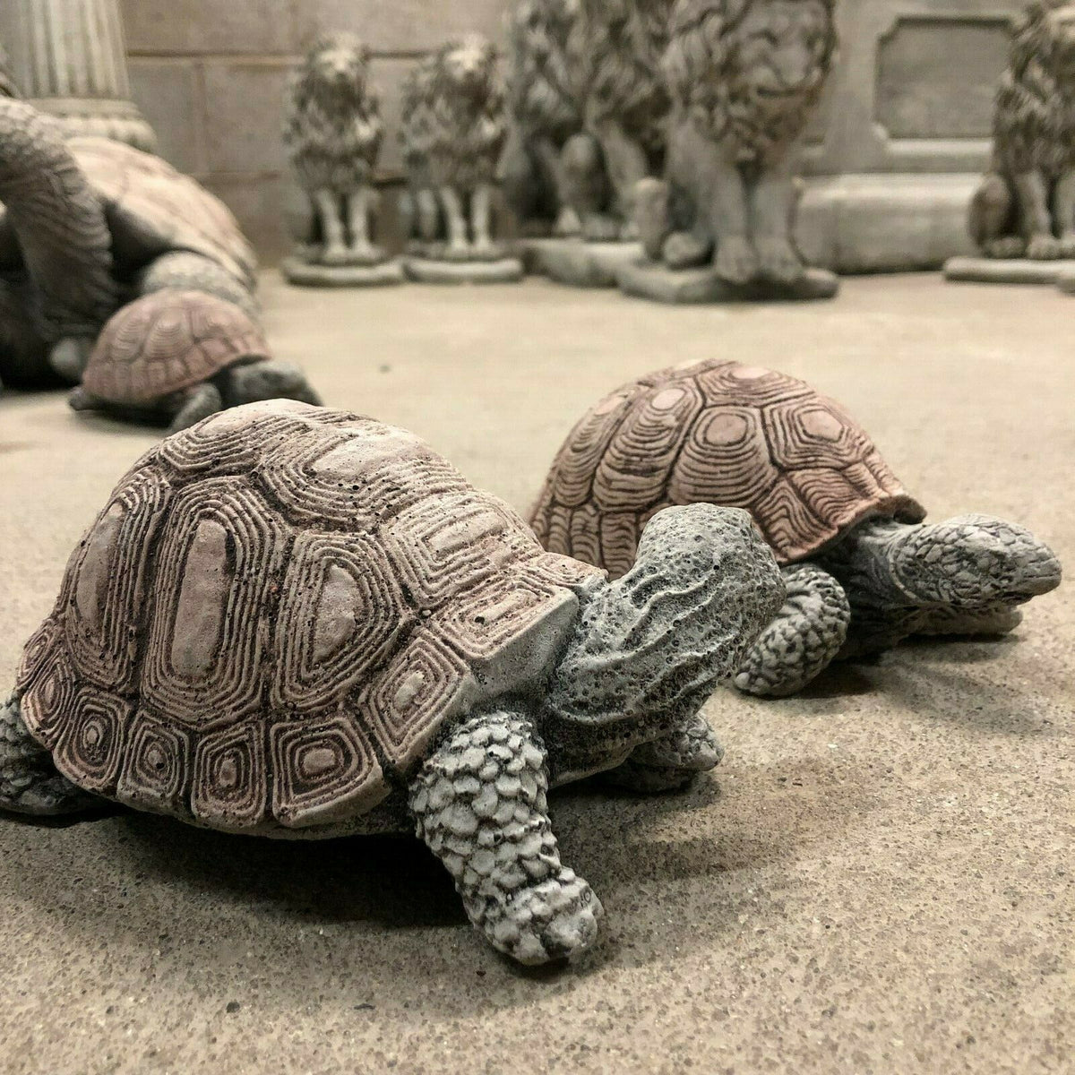 Side view of stone tortoise garden decor pair with realistic detailing, perfect for outdoor use in home and garden sculpture collections.