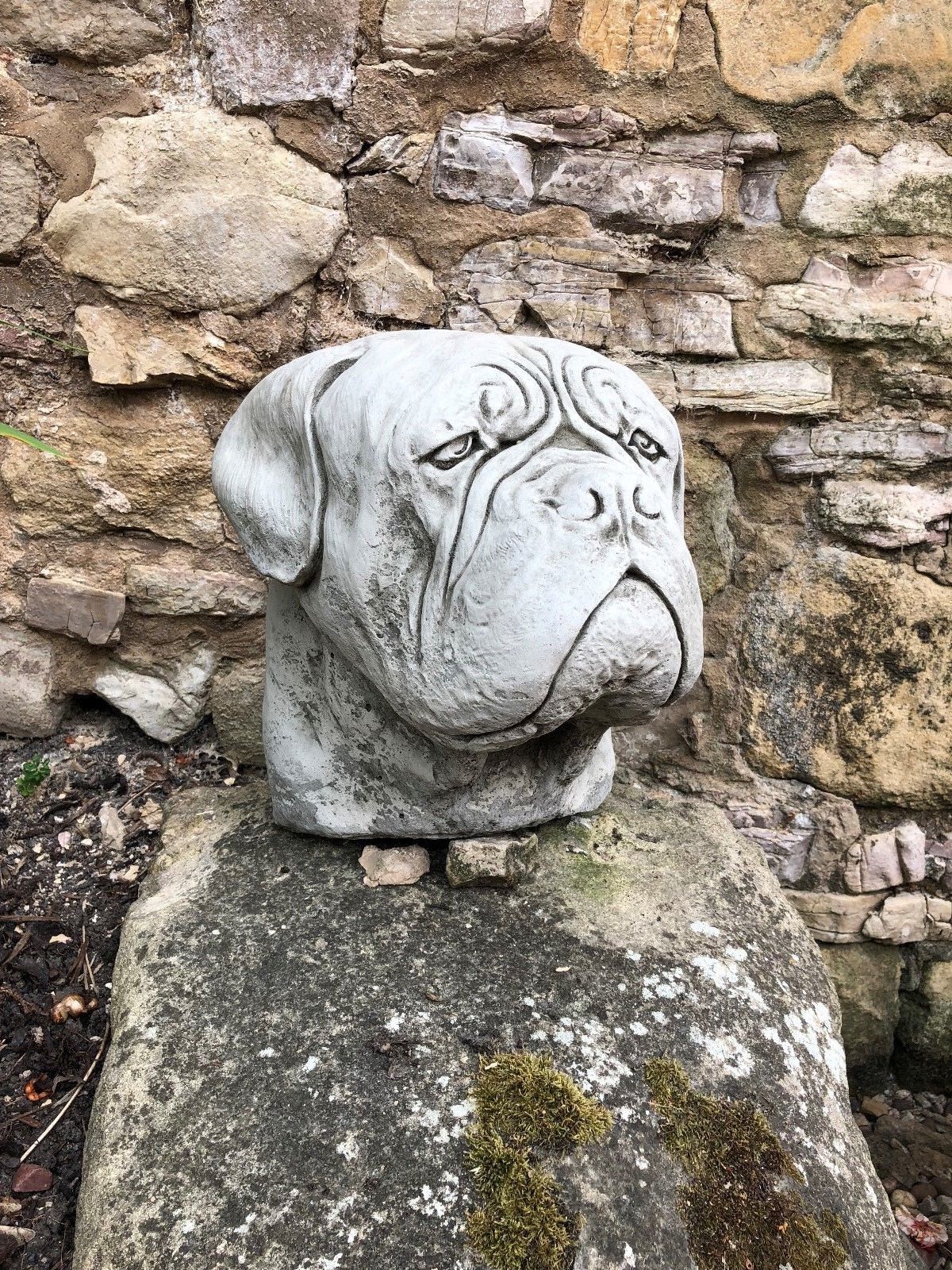Garden Finial - Stone Dogue De Bordeaux | Limestone Antique sculpture of a dog head on stone base, ideal for outdoor garden decor.