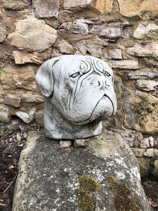 Garden Finial - Stone Dogue De Bordeaux | Limestone Antique sculpture of a dog head on stone base, ideal for outdoor garden decor.