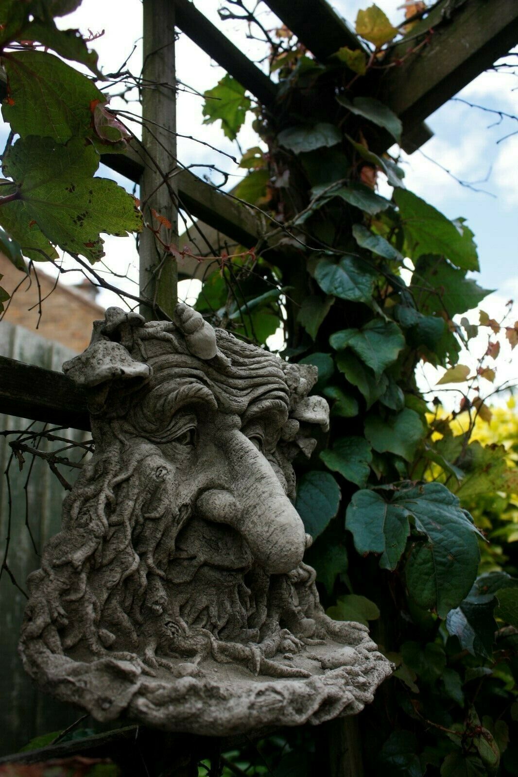 Stone Greenman Bird Feeder with long nose hanging on a trellis, surrounded by climbing vines, enhancing garden aesthetics and bird feeding.