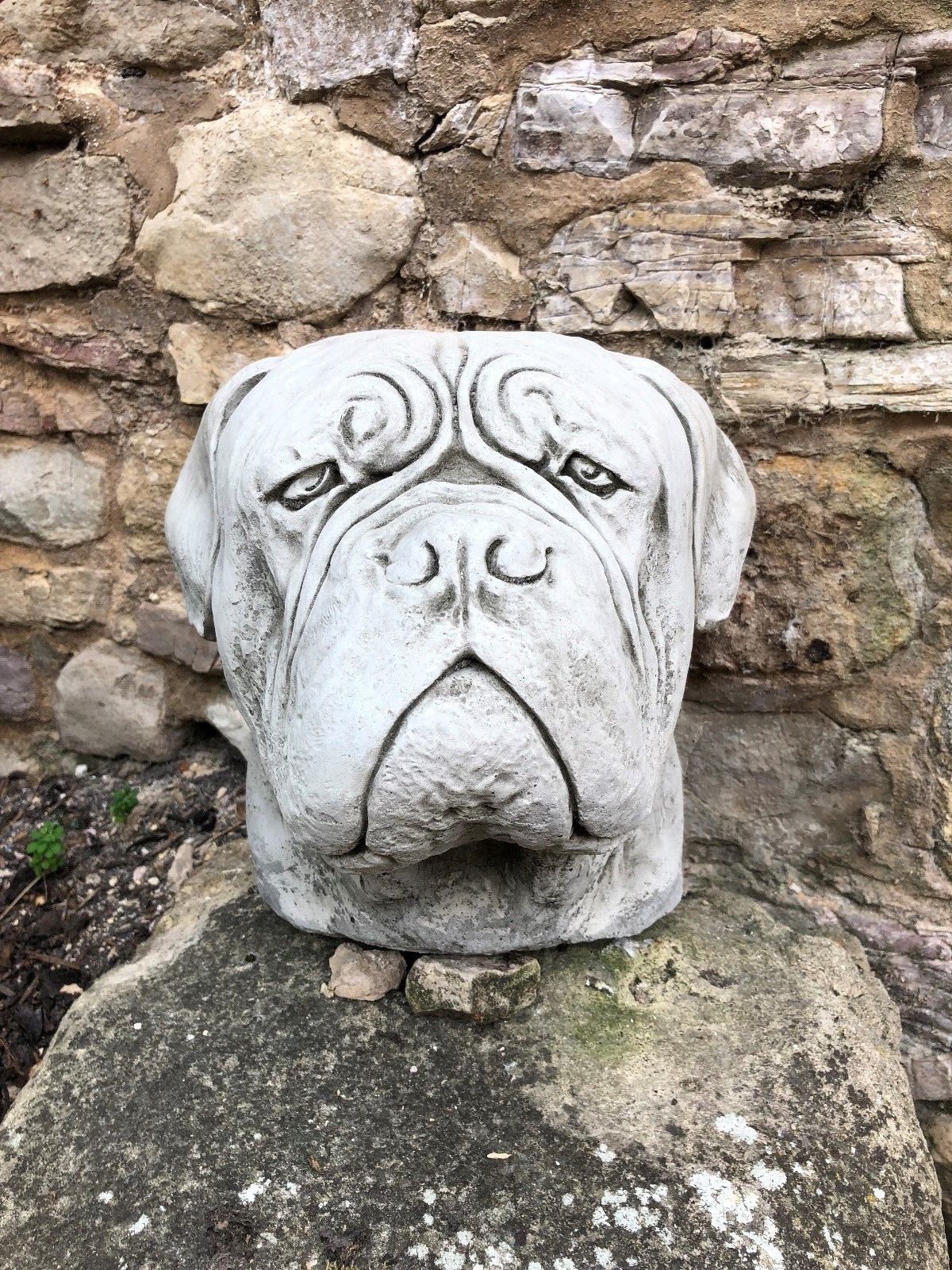 Front view of Stone Dogue De Bordeaux garden finial, crafted from durable limestone for weather-resistant outdoor use.