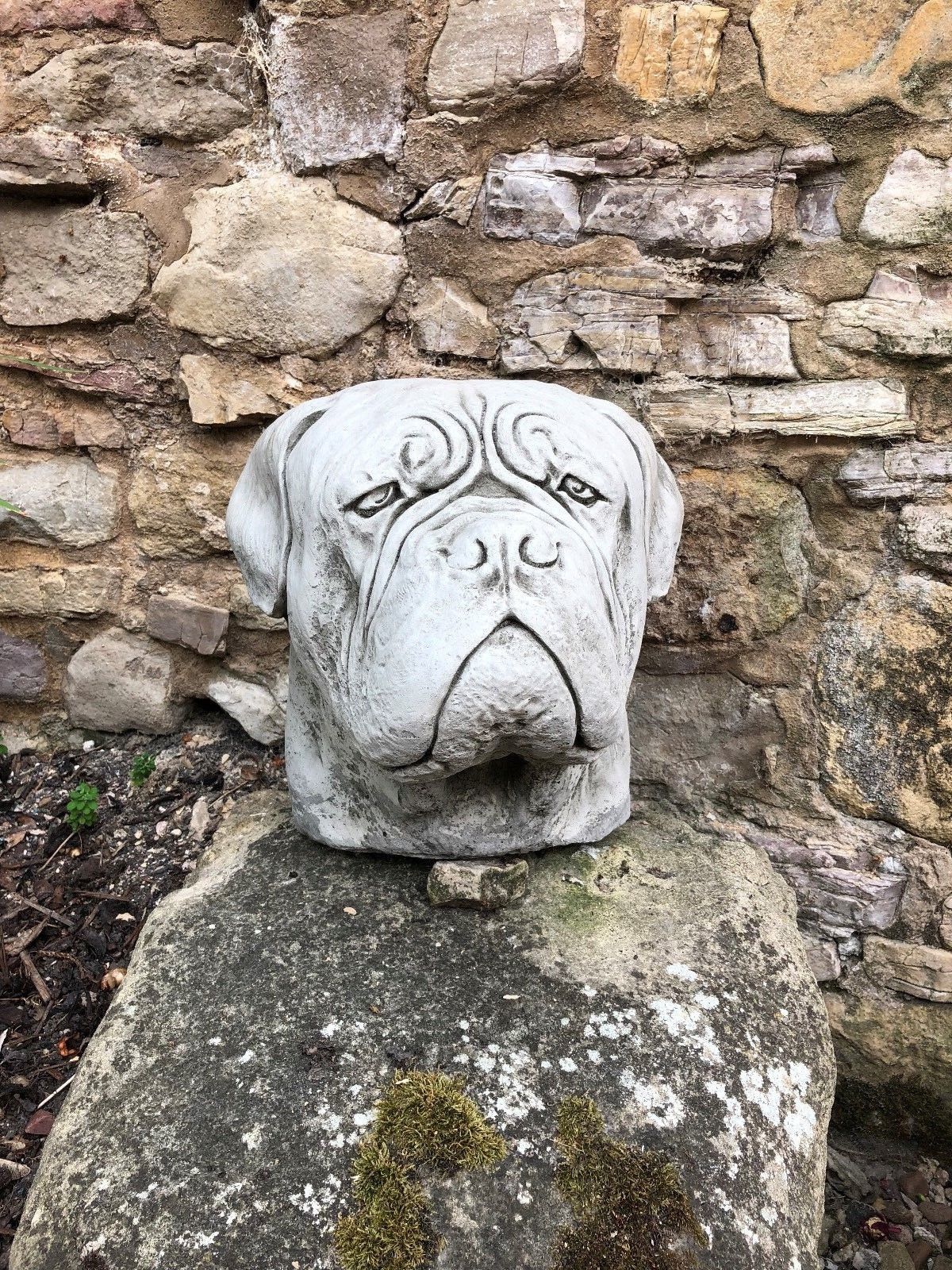 Heavy stone Dogue De Bordeaux finial placed against a rustic stone wall, ideal for enhancing garden or gate posts.