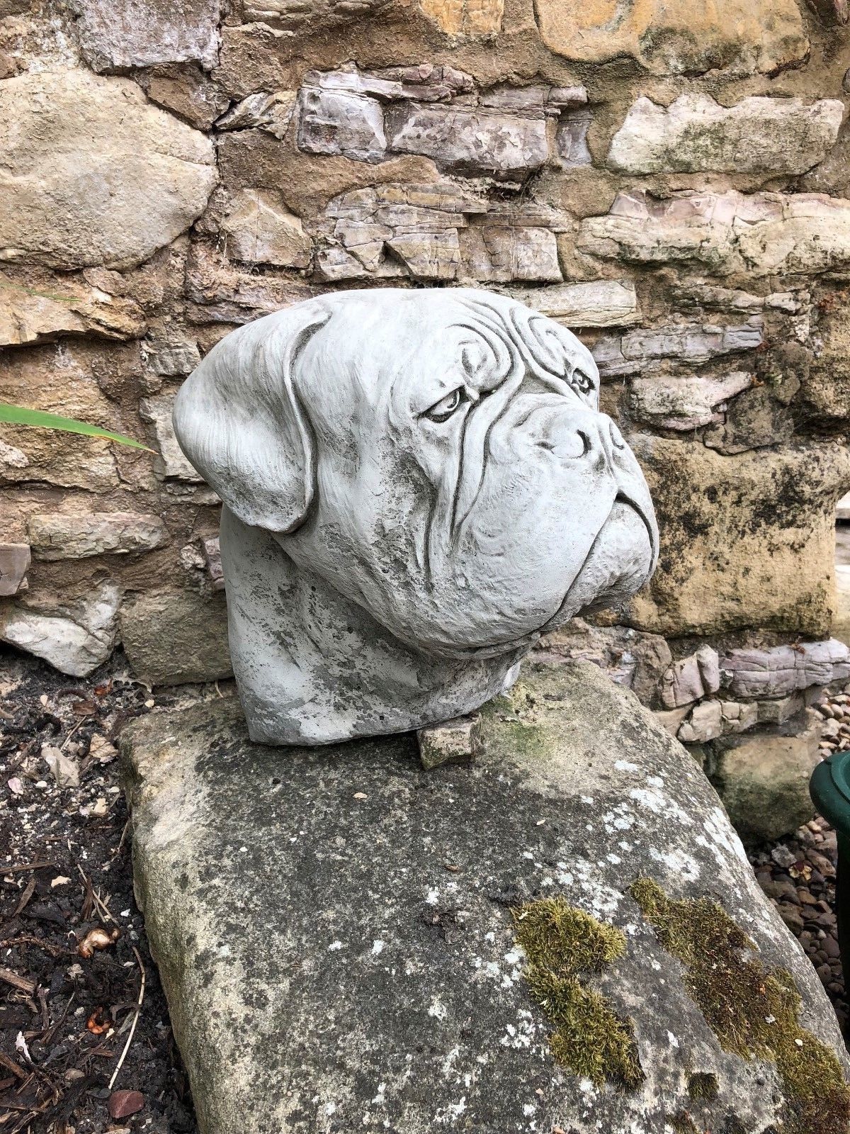 Side profile of limestone Dogue De Bordeaux finial showing realistic wrinkles and texture, great for garden ornamentation.