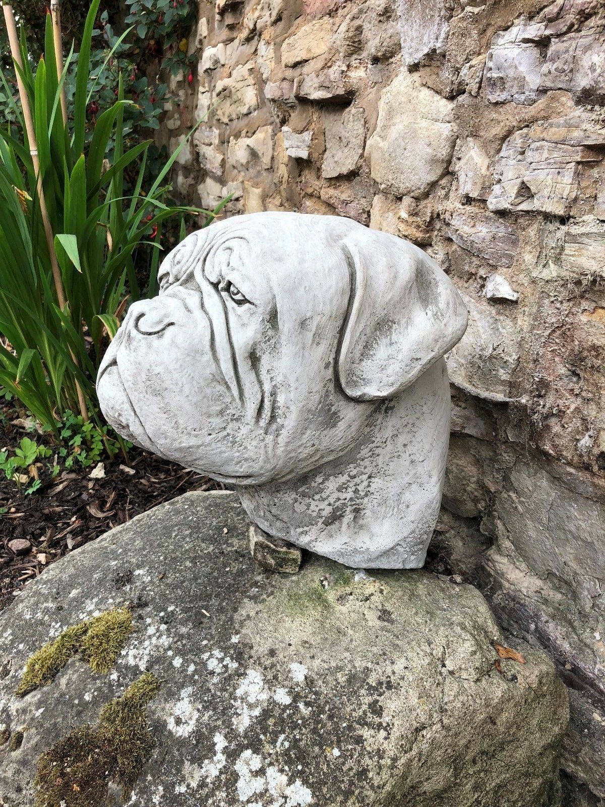 Angled view of antique-style Dogue De Bordeaux stone finial on mossy rock, adds charm to home and garden spaces.