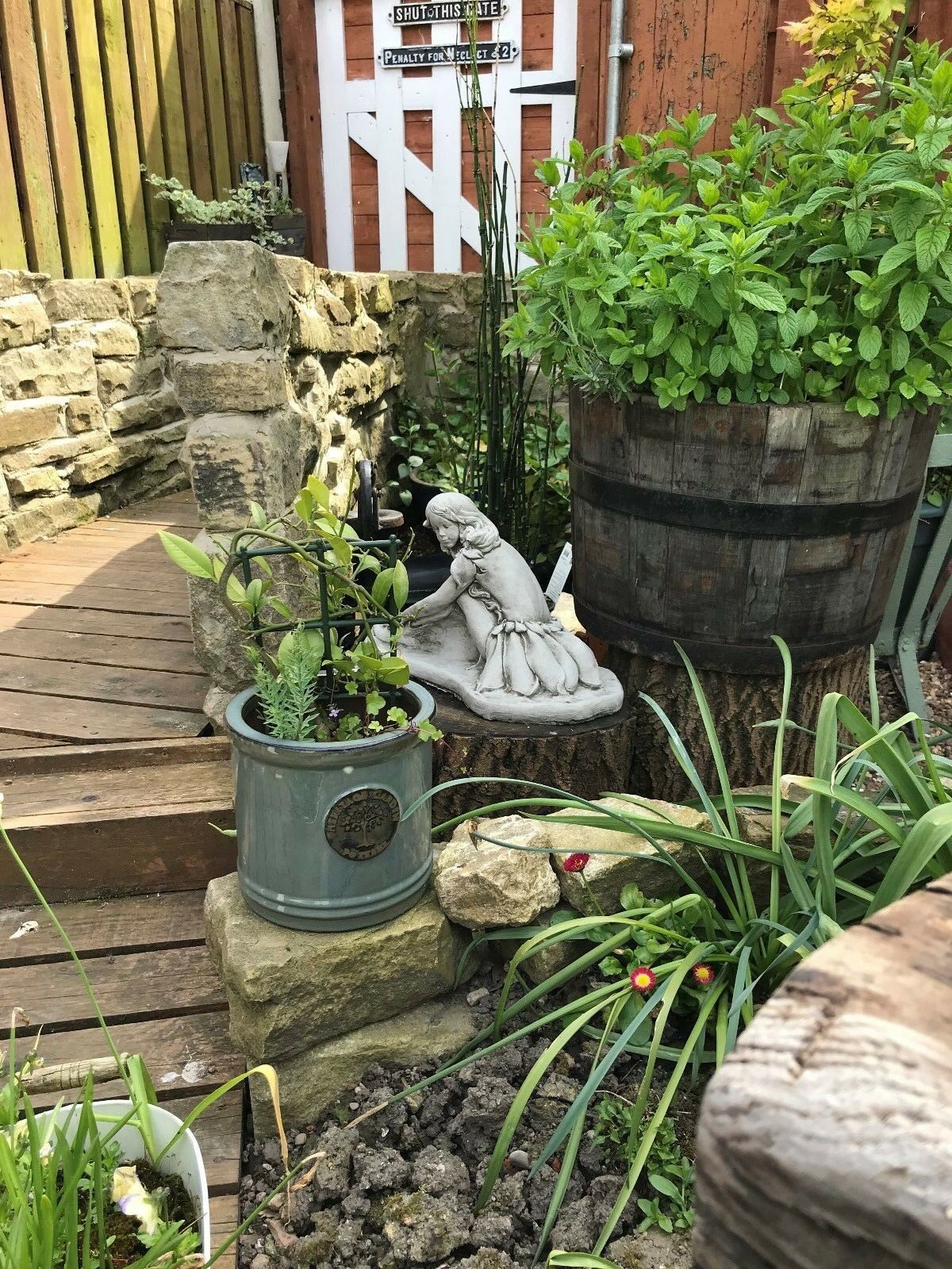 Whimsical fairy garden statue nestled in a lush garden corner, perfect for patios and outdoor spaces with natural stone and wood accents.