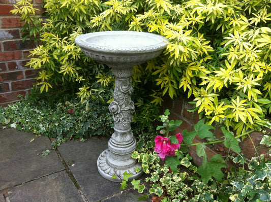 Bird Bath - Stone Flower Petal Design in a garden corner with lush yellow-green foliage. Elegant limestone finish adds charm to outdoor decor.