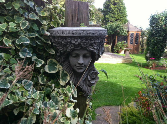 Garden Wall Shelf - Lady Stone Plaque mounted on a wooden post surrounded by green ivy in a landscaped backyard. Ideal for outdoor wall decor.