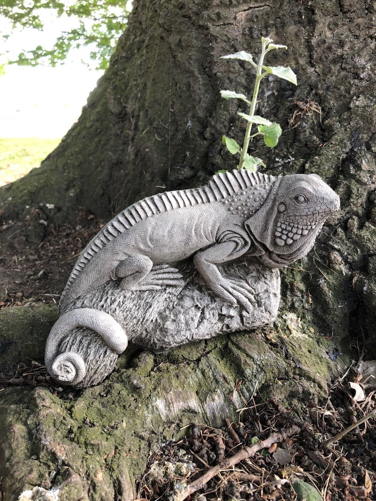 Single Iguana Garden Ornament from the Stone Collection perched on a rock, featuring intricate carving and durable stone for year-round outdoor use.