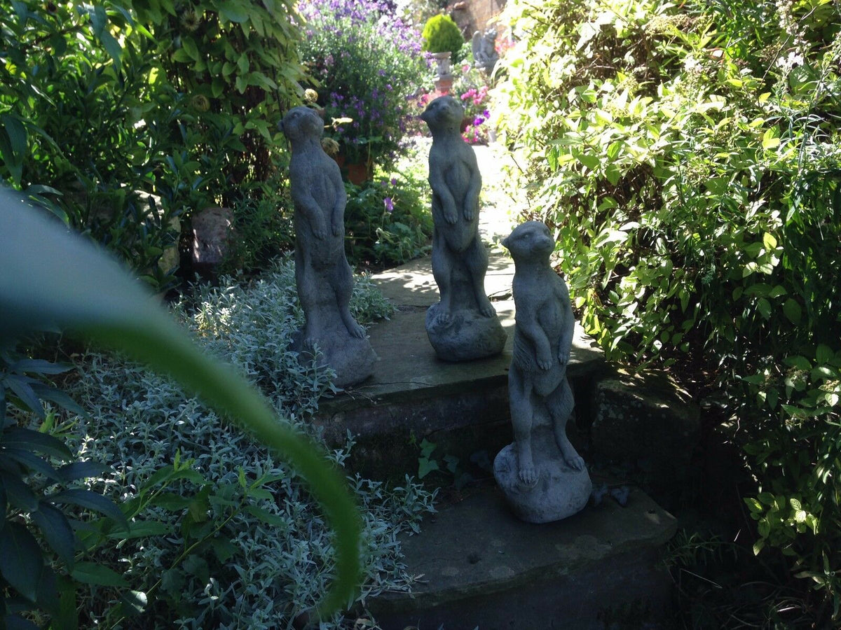 Stone meerkat garden ornaments standing on stone steps surrounded by lush greenery. Ideal for enhancing outdoor garden decor.