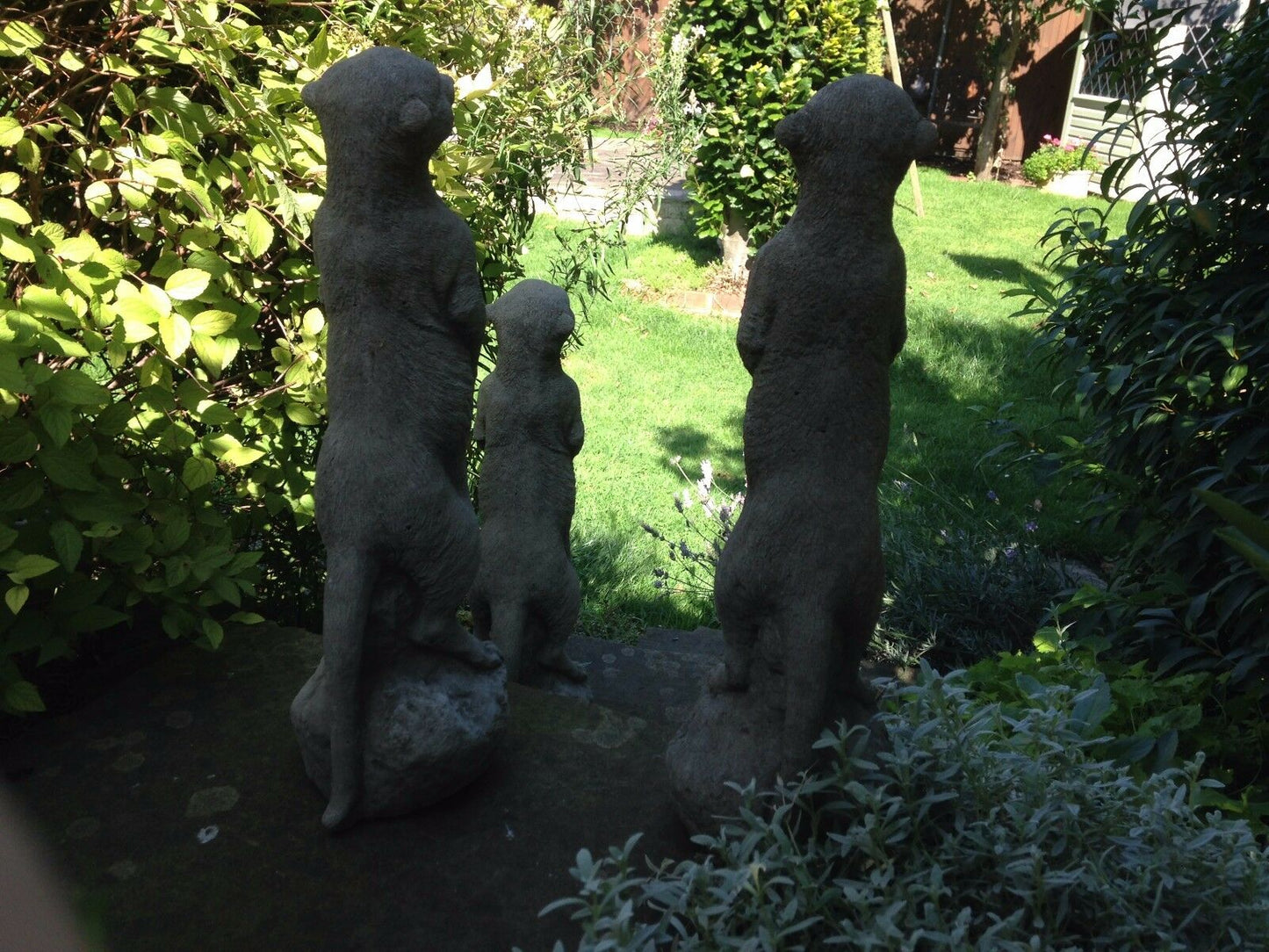 Rear view of three stone meerkat garden statues facing a lawn, perfect for adding charm to garden paths or flower beds.