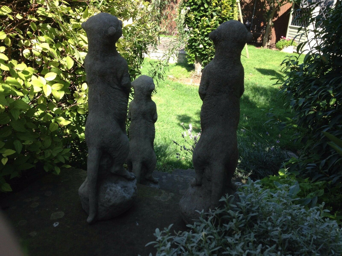 Rear view of three stone meerkat garden statues facing a lawn, perfect for adding charm to garden paths or flower beds.