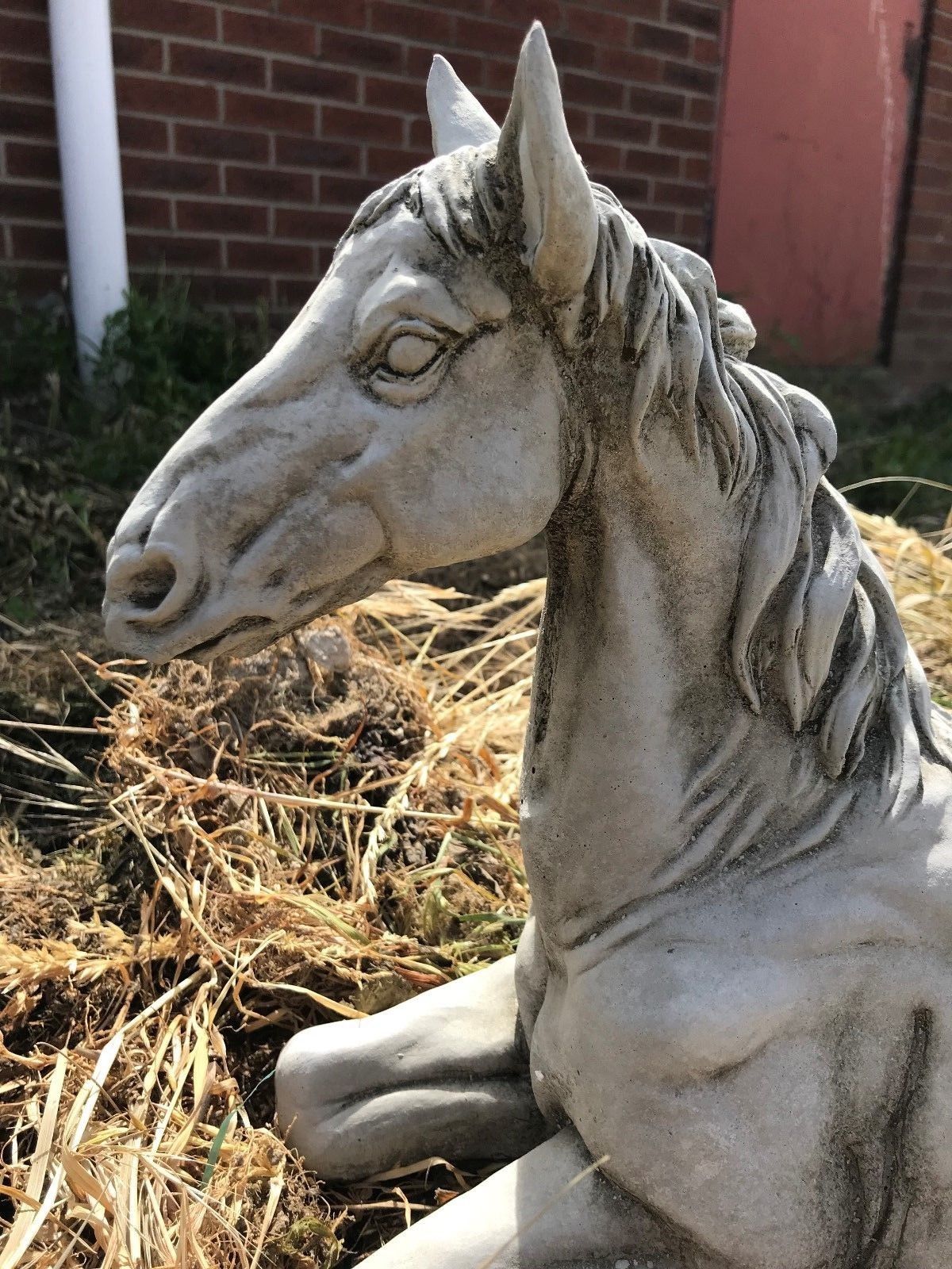 Detailed close-up of Stone Resting Horse Statue - Garden Ornament focusing on the expressive eyes and textured mane.