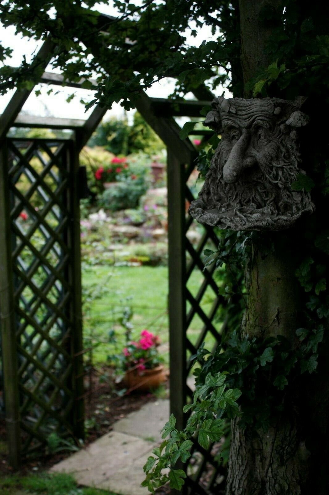 Wall-mounted Greenman Bird Feeder Ornament with long nose attached to a tree, overlooking a garden archway, ideal for rustic garden decor.