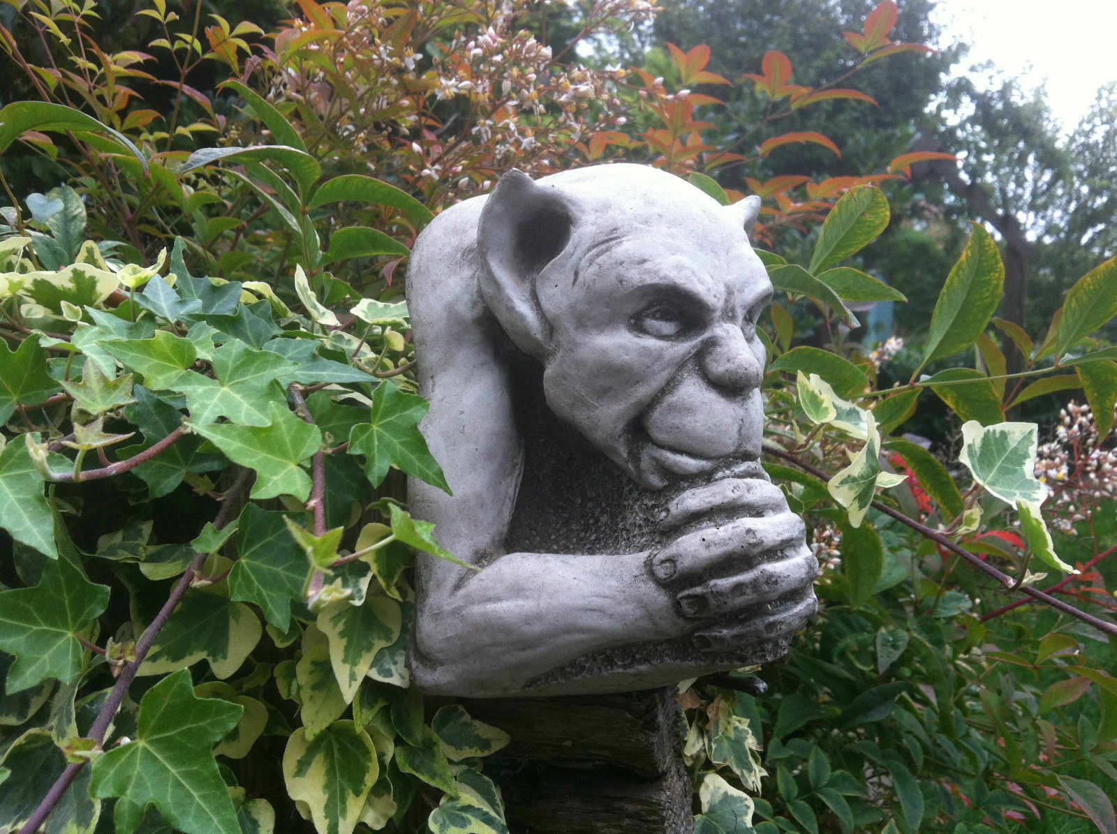 Gargoyle Garden Ornament with detailed stone sculpture nestled in ivy. Durable wall decor for outdoor garden settings.