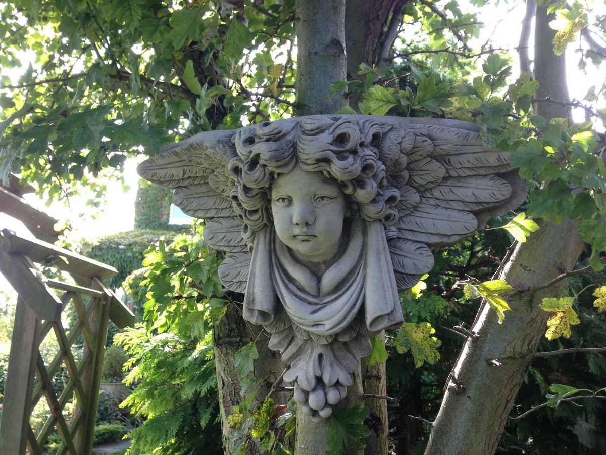 Stone Cherub Garden Wall Shelf with angelic face and wings mounted on a tree, ideal for outdoor decorative use. Durable limestone design for easy hanging.
