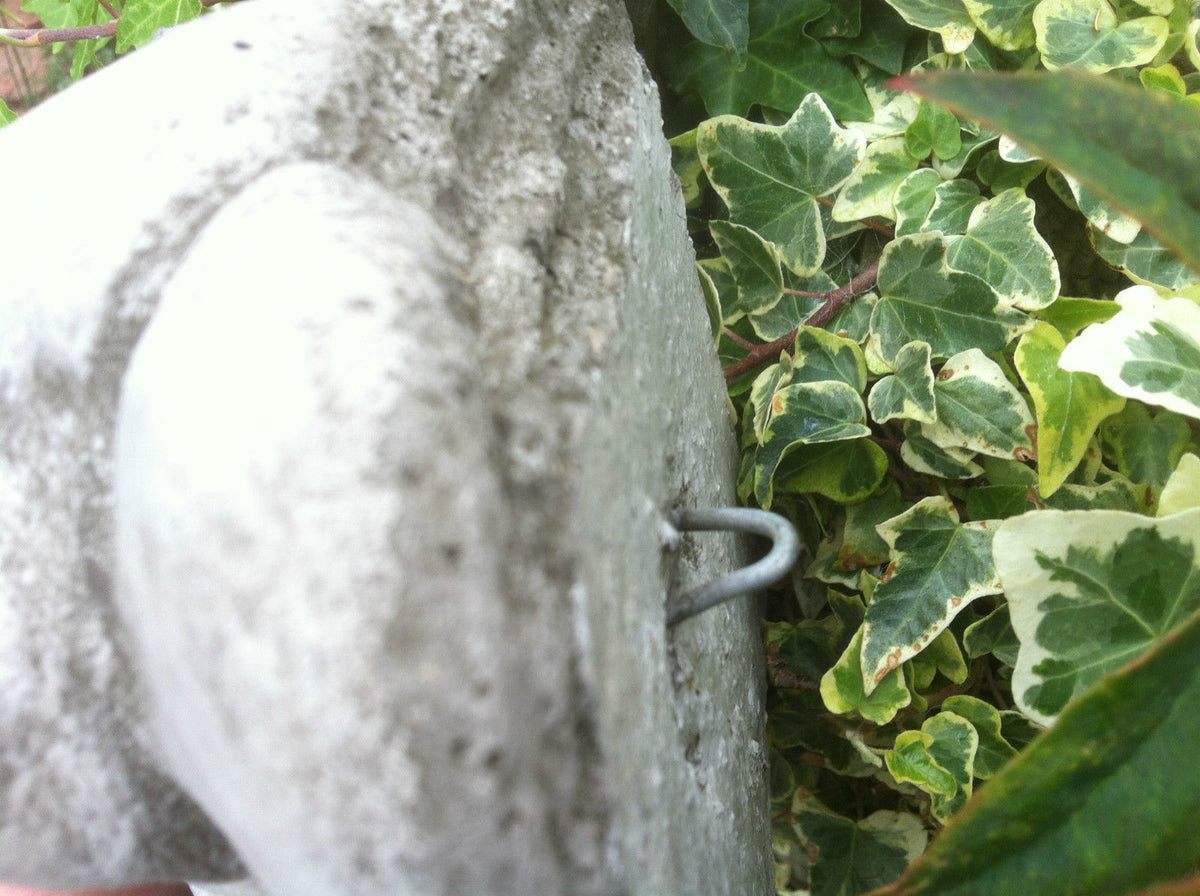 Close-up of back hook on Gargoyle Garden Ornament. Stone sculpture designed for easy wall mounting in outdoor spaces.