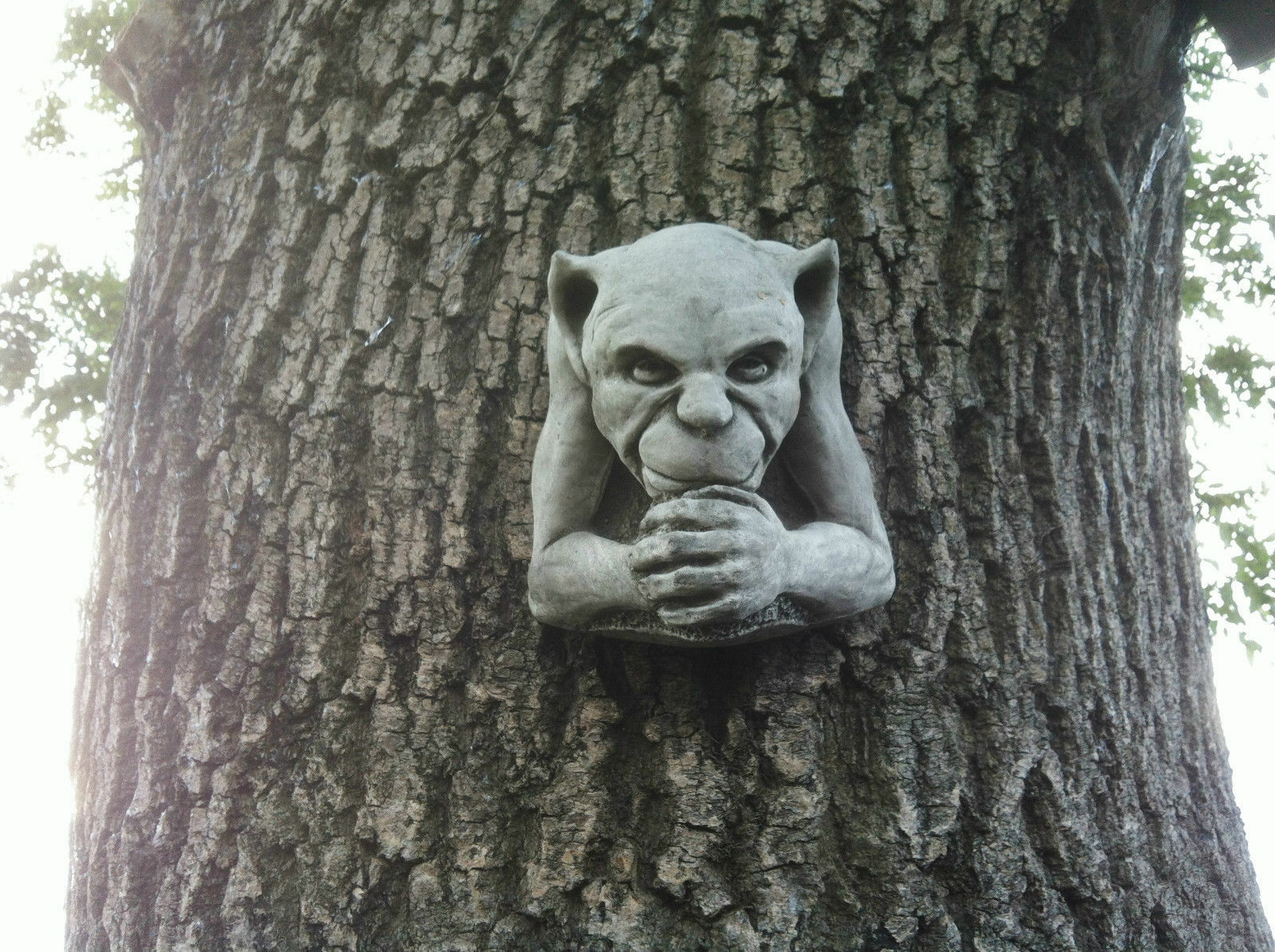 Gargoyle Garden Ornament mounted on tree trunk. Weather-resistant stone sculpture adds gothic charm to outdoor decor.