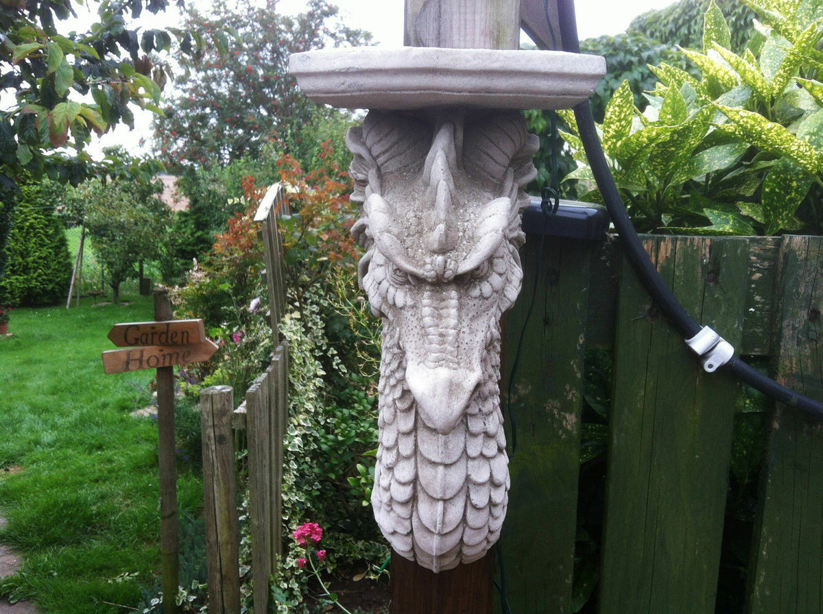Front view of Dragon Garden Wall Shelf with detailed stone texture. Unique wall-mounted sculpture for garden or porch decor.